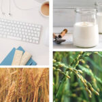 82a78a8f7febf3909a71226b9dae381e091bc8c9 8423207209809 Staging1 Es Es