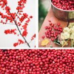 Bb0ff6d3930ec0f80ac0ef5640fe8d1e9927765c 8423207206471 Staging2 Es Es